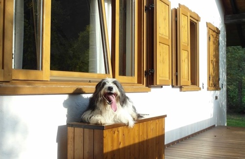 Transacqua Ski Chalet | In the Dolomites of Trentino with your 4-legged friends