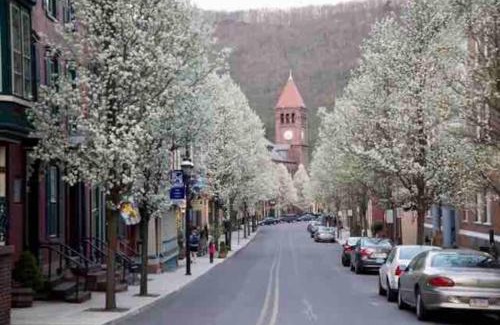 Ashfield Apartment | In The Heart Of Jim Thorpe (with your own parking)