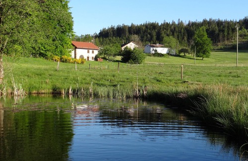 Tendon House | In the heart of nature, 20 minutes from Gérardmer, with sauna.