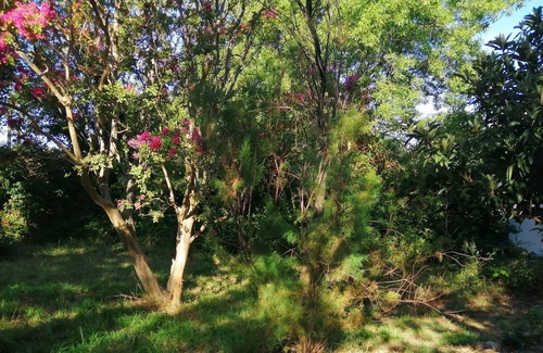 Arles Other | In the heart of Provence between sea and mountain cozy 2 rooms 4p & pet friendly