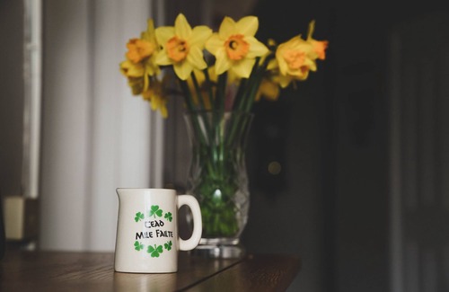 Morwellham Cabin | In the heart of the countryside close to the river Tamar & offers tranquillity