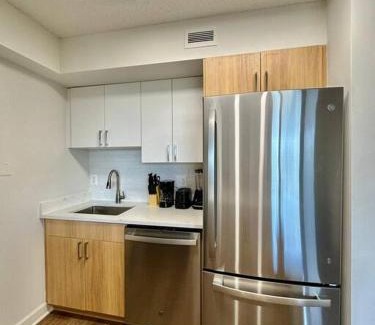 Pentagon City Apartment | Incredible Apartment with Rooftop in Pentagon City