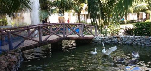 Puri Apartment | Insignia Beach Resort Premium 1 BHK serviced Appartments,The Club Krishna Sea Sight ,Puri