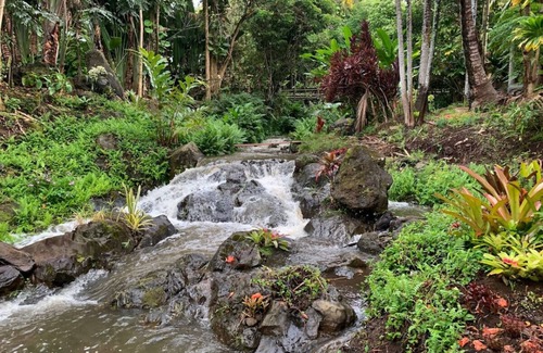 Kukuihaele Apartment | Inspired 1-BR, Magic Gardens, Stream and Waterfall