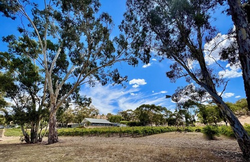 Sevenhill Cottage | Intimate Vineyard Setting Minutes to Everything