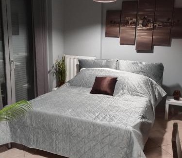 Ioannina Apartment | Ioannina City Studios 1