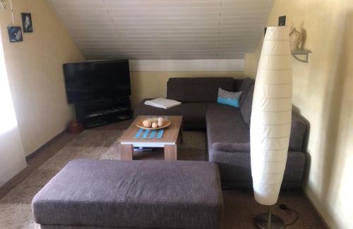 Eisen Apartment | Ironico Homestay 4 Schlafzimmer Ferienwohnung 100 m2 nahe Bostalsee