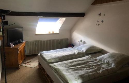 Eisen Apartment | Ironico Homestay 4 Schlafzimmer Ferienwohnung 100 m2 nahe Bostalsee