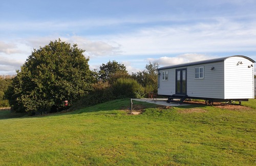 Marsham Cabin | Isabel , nestled in a peaceful farm in Marsham, North Norfolk