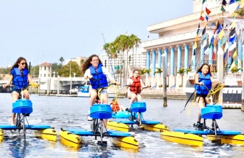 Davis Islands Apartment | Island Getaway* NearTampa General Amalie Arena* UT