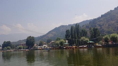 Dal Lake House | Island homestay in dal lake