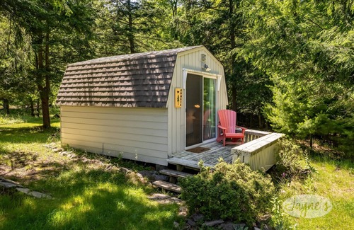 Bracebridge Cottage | Island Property on Lake Muskoka! 4brdm, 3 bath! Best Internet! SUP, Kayak