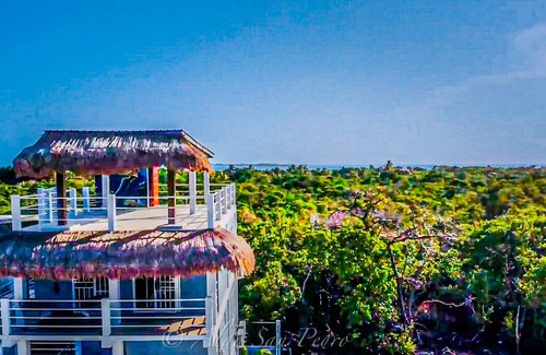 Caye Caulker Villa | Island Villa sleeps 8 breathtaking views of reef, island, treelined canopy