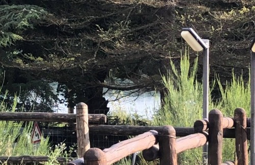 Lorica House | Tra il Bosco e il Lago - Casa Ginestra