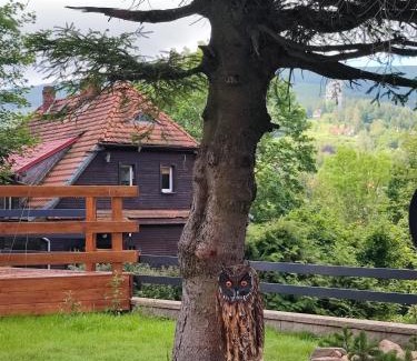 Swieradow-Zdroj House | Izerski DOMEK w górach z tarasem