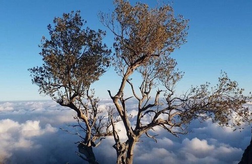 Al Hamra House | Jabal Shams Summit Guesthouse