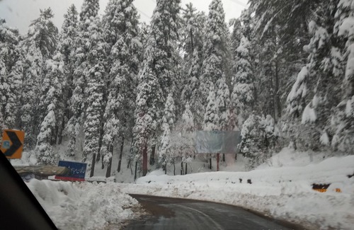 Murree Apartment | Janjua lodges and Apartments Murree