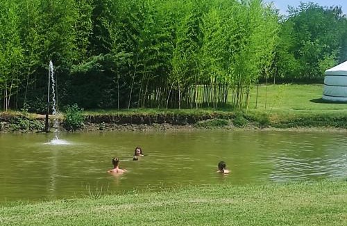 Vojvodina Apartment | Jezero apartman privatnost