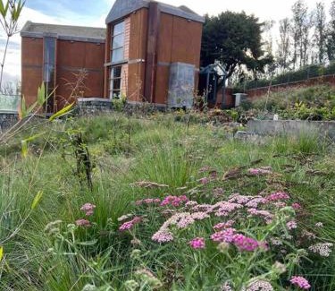 Ooty Villa | JM’s Earth Song