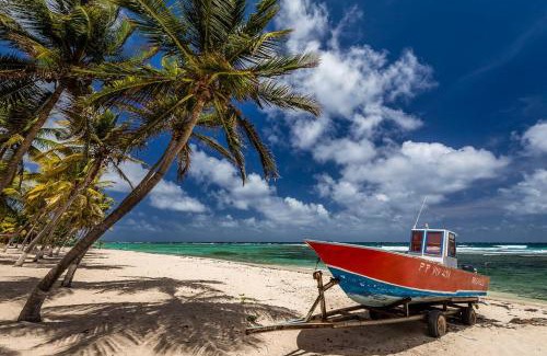 Les Mangles House | Joli bungalow avec jacuzzi chez Roberto