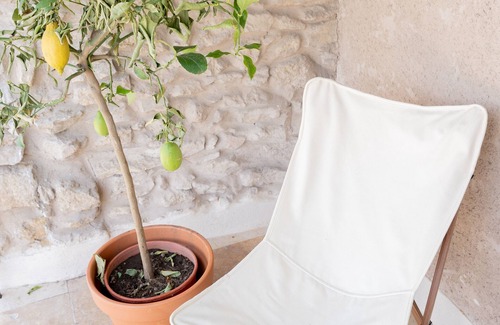 Lancon-Provence House | Jolie Maison Provençale à Lançon-provence