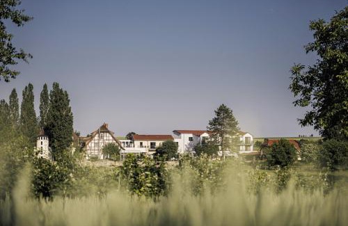 Mainz-Bingen Hotel | Jordan's Untermühle