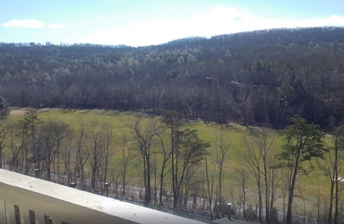 Basye Condo | July In The Cool Mountains! 2BR With Full Kitchen - Shenandoah Valley