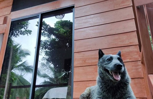 Guacimo House | JUNE 24 VILLAGE