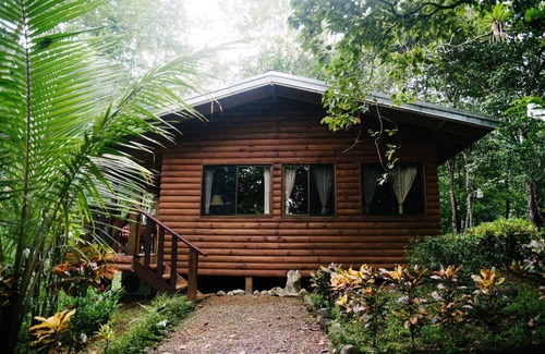 Parrita Cabin | Jungle and river view cabin in a serene setting. Lowest nightly rates! Views