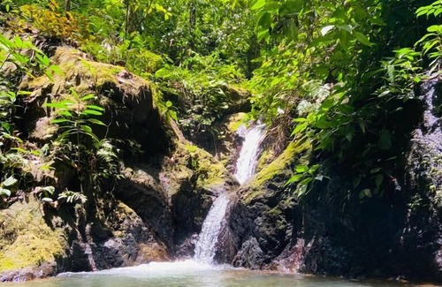 Drake Bay Hotel | Jungle Drake