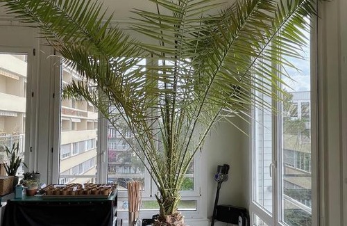 Lausanne Apartment | Jungle Loft in Lausanne Centre