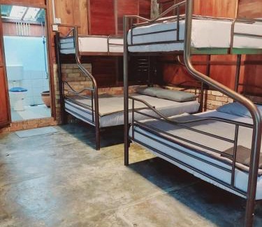 Bentong Other | Jungle Zen Janda Baik Campsite