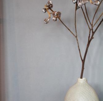 Altstadt Apartment | Junior Suite The Backyard TBY 01