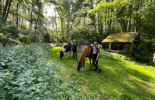 Dobiegniew Apartment | JZ Guest Ranch