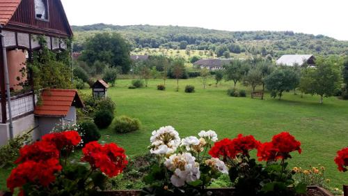 Simonesti House | Kúria Vendégház