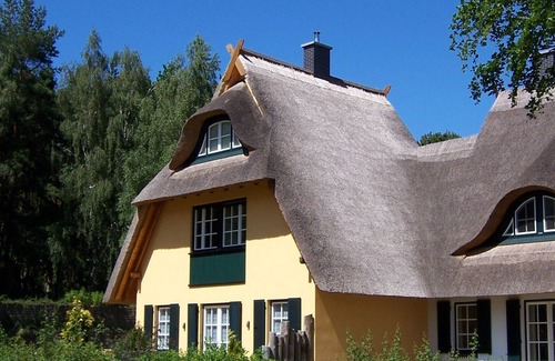 Dierhagen Dorf House | Küstenwaldvilla in Dierhagen