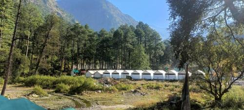Kasol Other | Kabila Camp