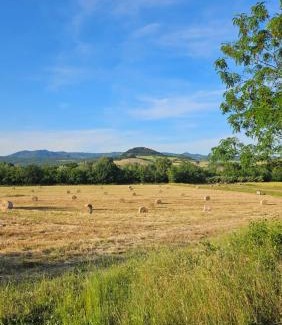 Montescudaio Apartment | Kaikna Podere Evolutivo