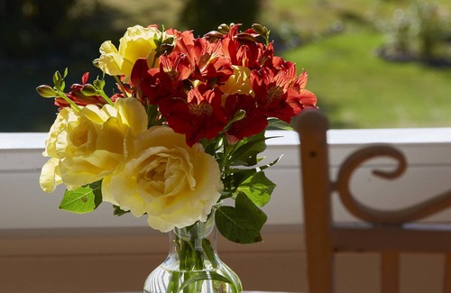 Christchurch Bed & Breakfast | Kaituna Valley Homestead