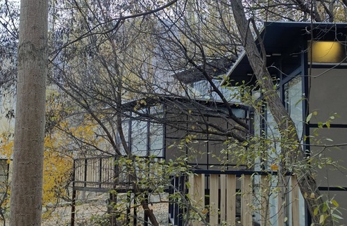 Hunza Ski Chalet | Kalp with Forest View- Cloud Nine and a Half Hunza