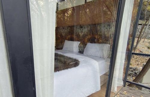 Hunza Ski Chalet | Kalp with Forest View- Cloud Nine and a Half Hunza