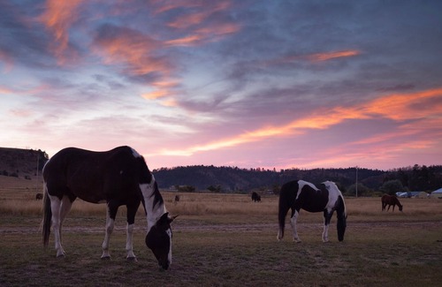 Moorcroft Cabin | Kara Creek Ranch - King Bed Cabin #8