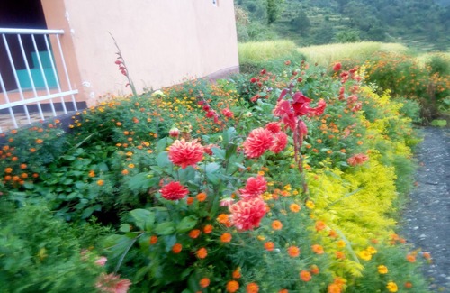 Uttarkashi House | Kavyashree Homestay Uttarkashi
