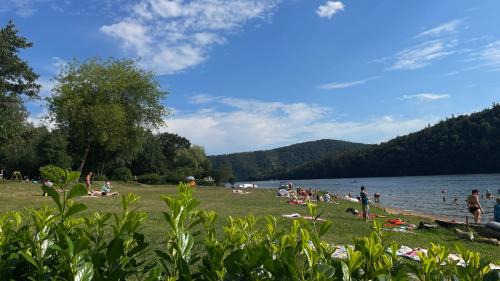 Nalzovice Other | Kemp Andělská laguna Slapy