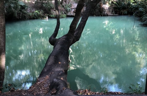 Deltona Lakes Condo | Kick of your boots it’s Fun time!