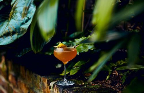 Buckhead Village Hotel | Kimpton Sylvan Hotel Buckhead Atlanta