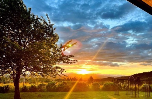 Newberg House | King`s Queen: Single level luxurious custom home in the heart of wine country