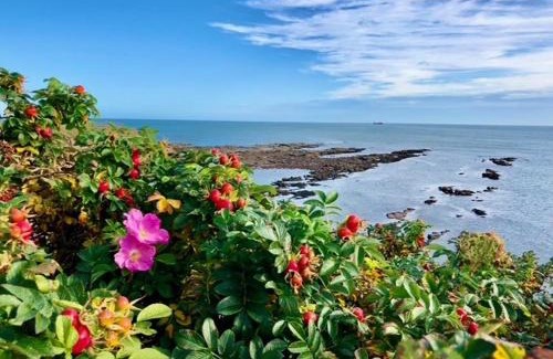 Cullercoats Apartment | King's Seafront Place