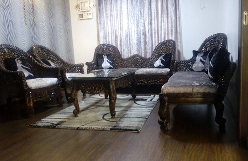 Ludhiana House | King Style Suite with attacthed drawing(Separate appartment in house