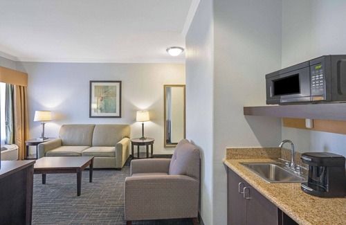Westchase Hotel | King Suite Ideal for Family Getaway w/Pool Access | Close to Vibrant Chinatown